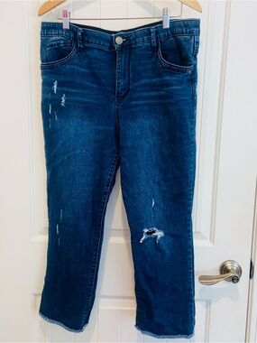Wit & Wisdom Ab Solution Jeans